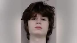 Mass shooting plot at Hindu temple in Illinois? 19-year-old arrested with rifle, body armour and manifesto that mentioned Indians