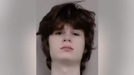 Mass shooting plot at Hindu temple in Illinois? Teen arrested with rifle, body armour and anti-Indian manifesto